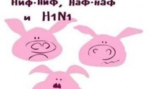 Чи готова Україна до «свинячого» грипу?