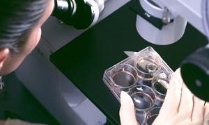 Складено рейтинг головних наукових відкриттів десятиліття