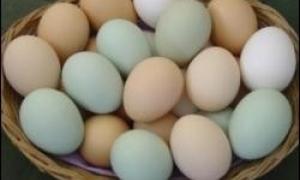 17-річна мачуха вбила малюка через куряче яйце