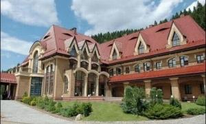 Побачити свиней Ющенка можна за 50 гривень 