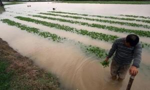Японією пройшов потужний тайфун: 117 поранених