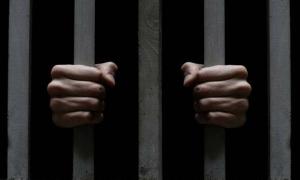 За шахрайство з чужими грішми житель Торчина сів на вісім років