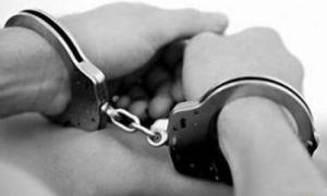 Відтепер волиняни знають, куди скаржитись на хабарників