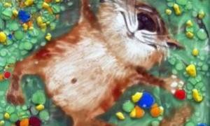 Вболівальники 