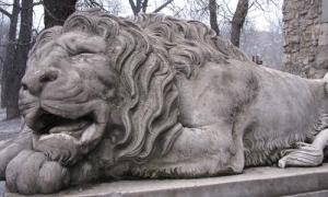  У Львові буде парад левів