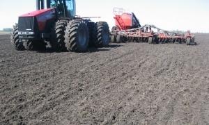 Близько мільйона гектарів озимих доведеться пересівати в Україні