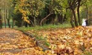 У Луцьку заборонили спалювати листя та побутові відходи 