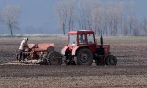 Посівну селяни беруть у свої руки. На державу вже не сподіваються