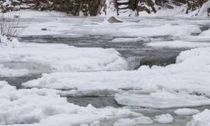 У Кривому Розі витягнули з-під криги 2 дітей