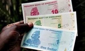 Мінфін Зімбабве назвав мертвою національну валюту