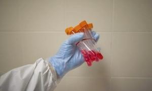 Палестинцям заборонили одружуватися без довідки про відсутність вірусу A/H1N1