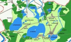 Шацькі озера під загрозою зникнення