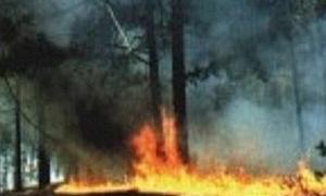 У Київській області загасили всі торфовища, крім одного