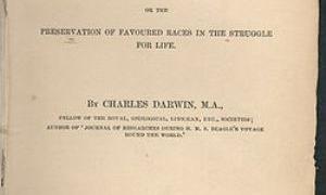 Книгу Дарвіна «Походження видів» продали за 172 тисячі доларів