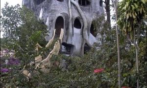 В’єтнамський готель має форму дерева  