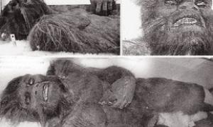 Сьогодні стартує російська експедиція з пошуків єті