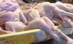 Українська курятина відповідає євростандартам