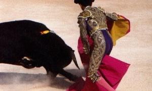 В Іспанії можуть заборонити кориду