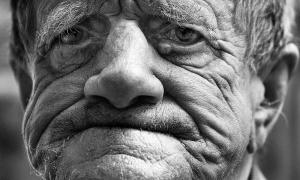 Через 50 років замінятимуть будь-яку тканину людського організму