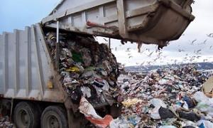 На Львівщині на смітнику знайшли тіла двох немовлят