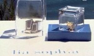 Ліндсей Лохан приїхала на Малібу розкручувати коштовності