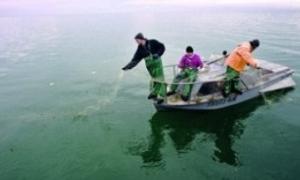 З 1 квітня на водоймах Волині заборонено рибальство через нерестовий період