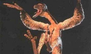 Вперше виявлено отруйного динозавра