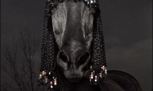 Коням наростили волосся для зачісок 