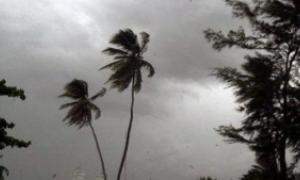 Більше 80 тисяч людей постраждали від урагану в Мексиці