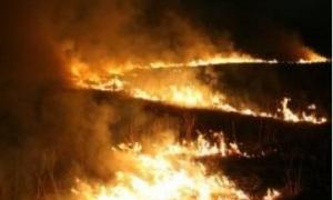 На Волині загасили загоряння торфу
