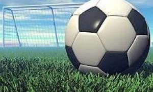 ЧС-2010: Міхайліченко викликав двох новачків