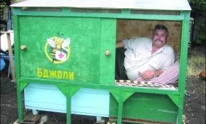 Чоловік ціле літо провів у вулику