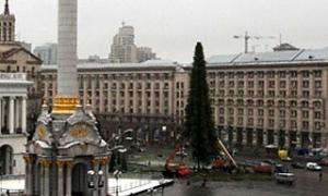 У Києві встановили головну ялинку країни