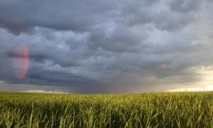 Над Черкасами літало НЛО