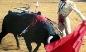У Мексиці заарештували матадора, який злякався бика