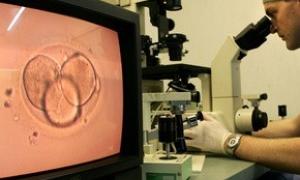 У Британії створили сперматозоїди із стовбурових клітин