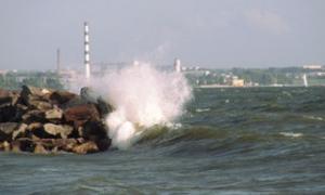 У Сакському районі Криму шквалистий вітер наробив шкоди