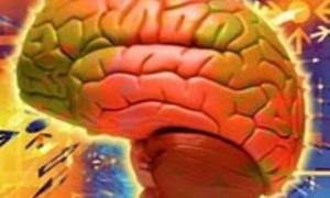 Вченим вдалося відтворити думки людини