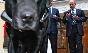 Найвідоміші домашні улюбленці політиків