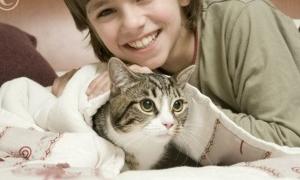 Коти й собаки можуть бути збудниками грибкової інфекції