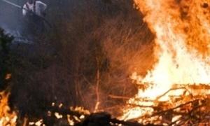 На Полтавщині загорілися торфовища