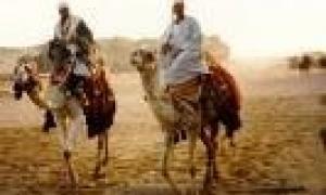 Країнам Перської затоки пропонують відмовитися від долара