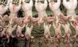 Зростає попит на м'ясо птиці