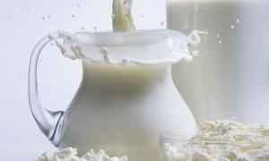 Віктор Янукович підписав закон про молоко та молочні продукти