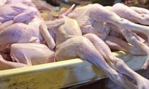 Заборонено ввіз китайської та непальської птиці до України