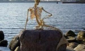 Скелет вимерлої русалки з'явився на набережній Копенгангена