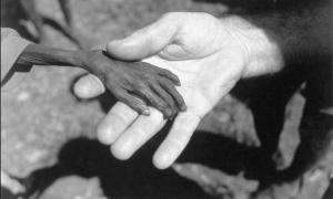 У світі голодують мільярд осіб