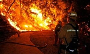 У Каліфорнії через пожежі евакуювали ціле місто