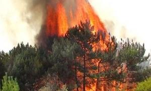 В Україні через масові пожежі горять житлові будинки