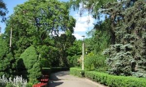 Створено перший довідник про українські ботсади і дендропарки